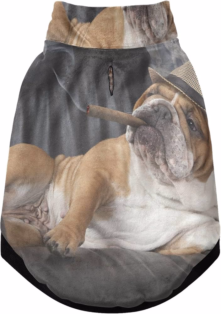 ¿Qué tan frío es demasiado frío para un bulldog inglés?