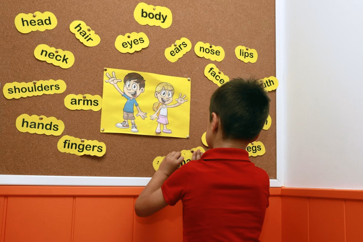 ¿Qué actividades se pueden realizar en clase?