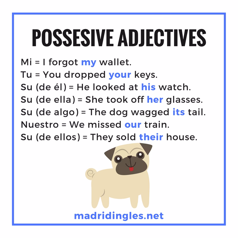 ¿Cuáles son 20 adjetivos posesivos en inglés?