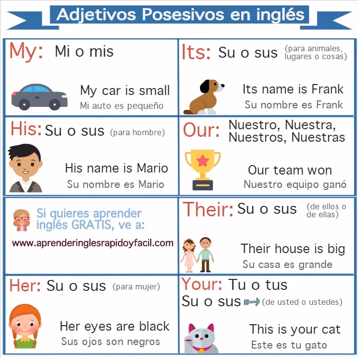 ¿Qué es un adjetivo posesivo y ejemplos?