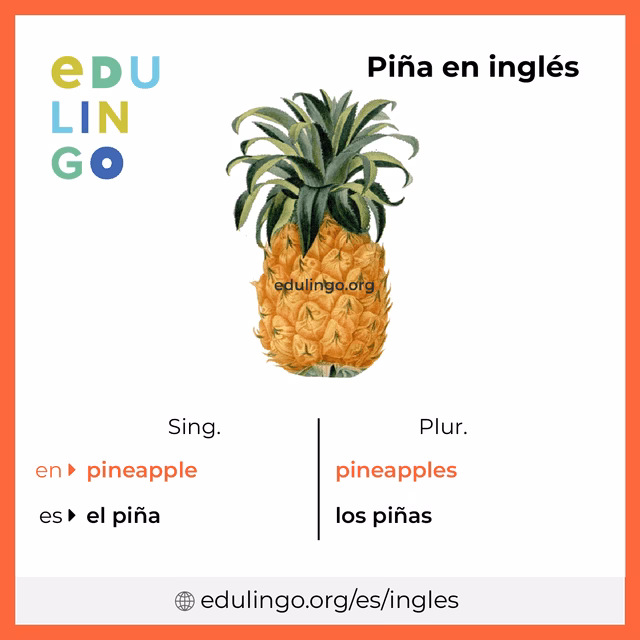 ¿Cómo se le dice piña en inglés?