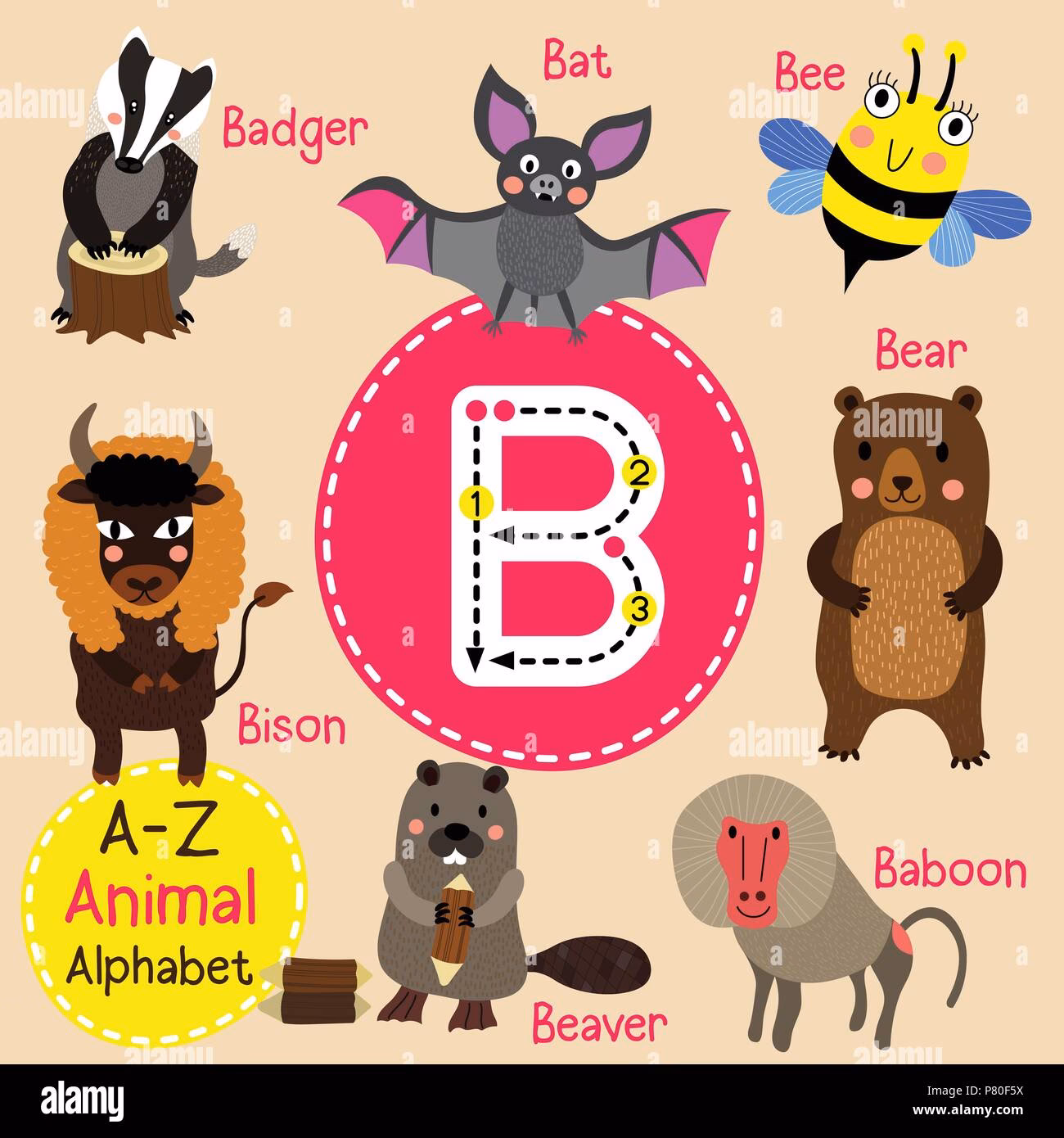 ¿Qué animal empieza con b en inglés?