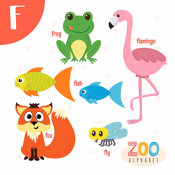 ¿Qué animal empieza con la letra F en inglés?