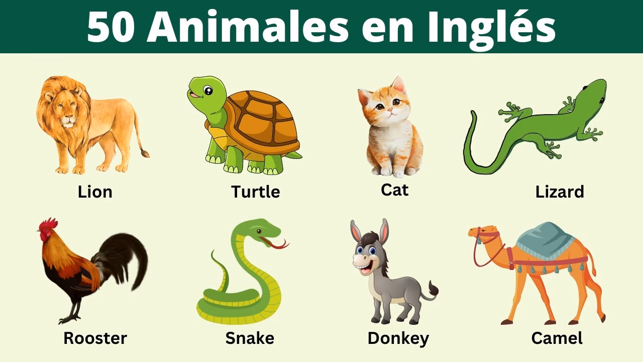 ¿Cómo se llaman 10 animales?