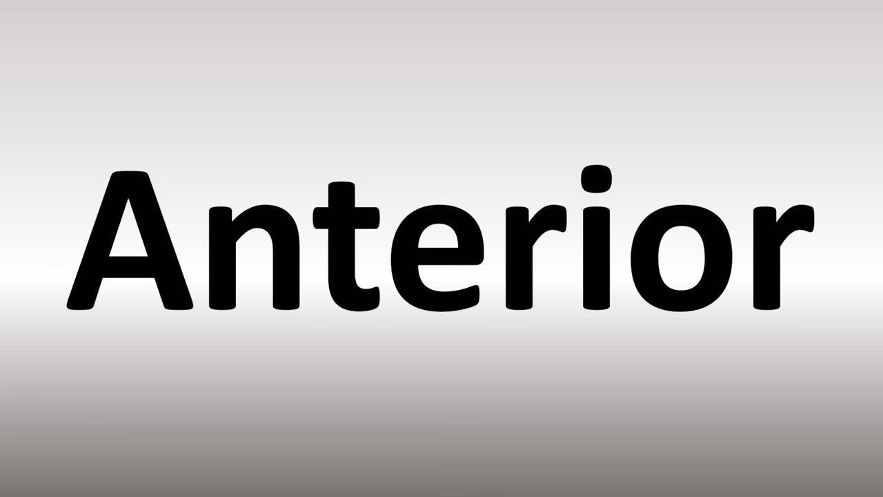 ¿Cómo se dice anterior?