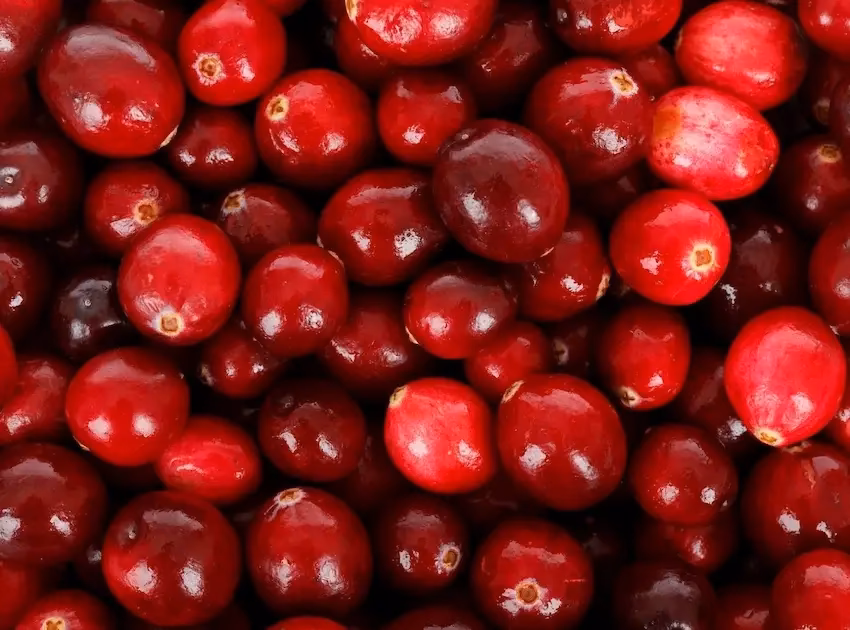 ¿Cómo se llama el cranberry en español?