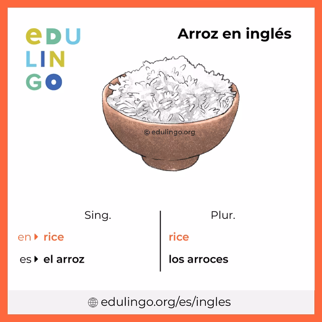 ¿Qué traduce rice?