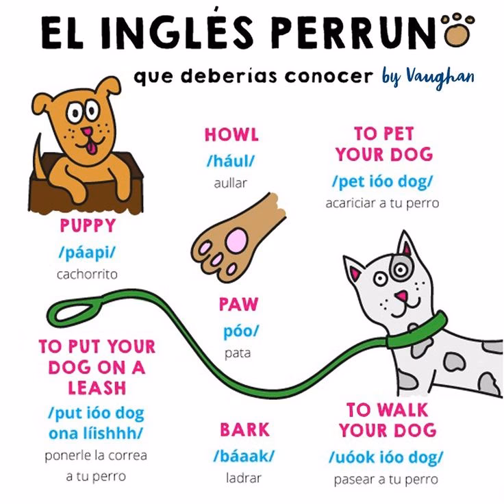 ¿Cómo se escribe aullar de animal?