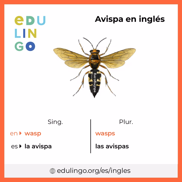 ¿Qué es una avispa en inglés?