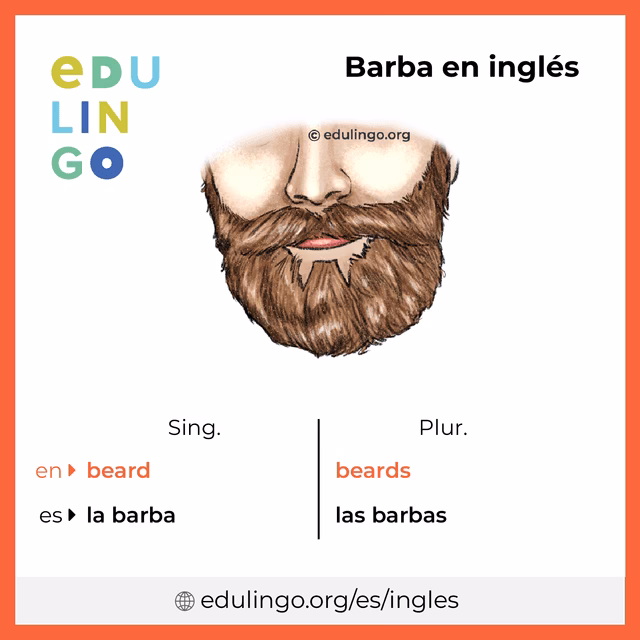 ¿Cómo se dice barba en inglés?