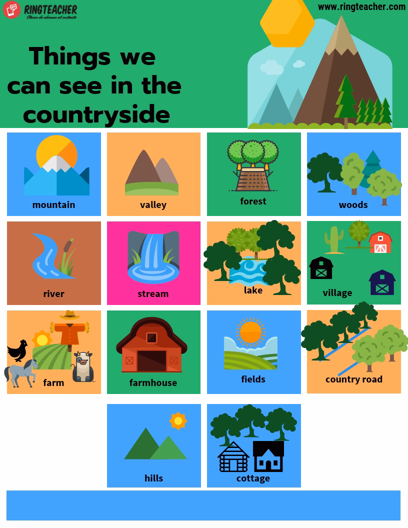 ¿Cuál es la diferencia entre forest y woods?