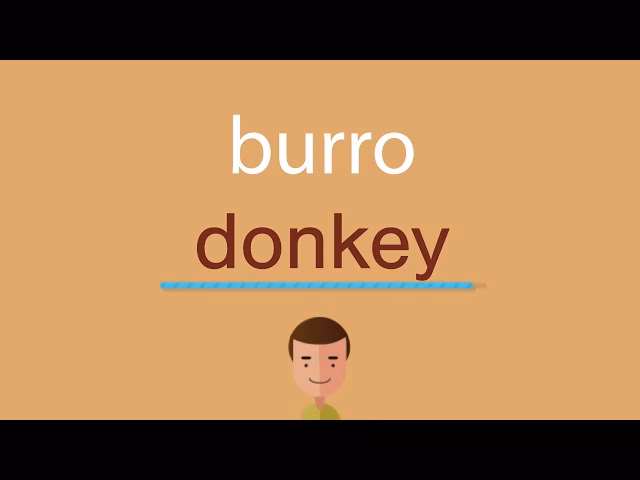 ¿Cómo se dice un burro?