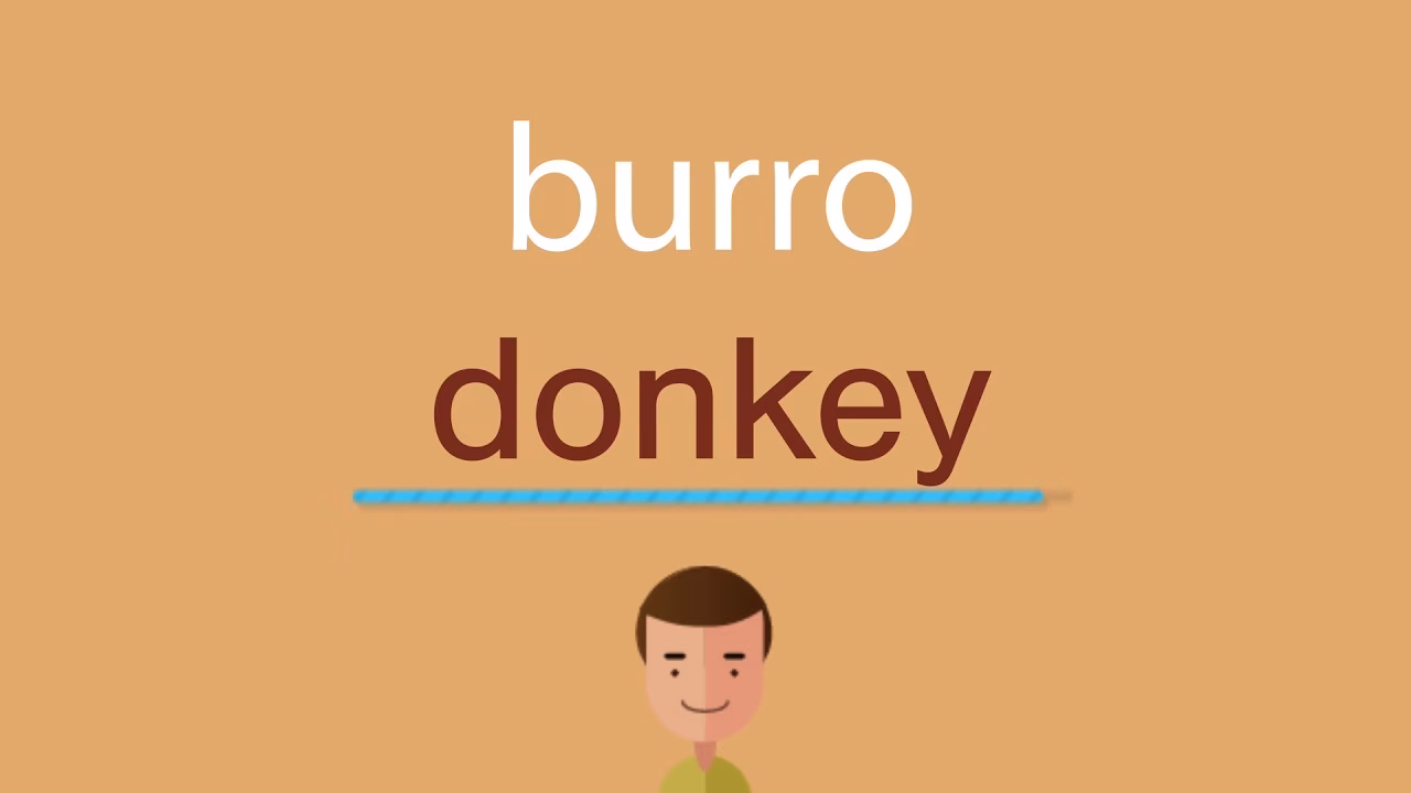 ¿Cómo se dice burro en inglés?