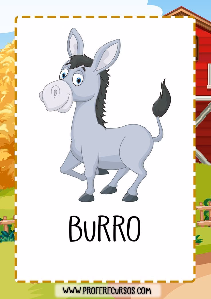 ¿Cómo se llama un burro en inglés?