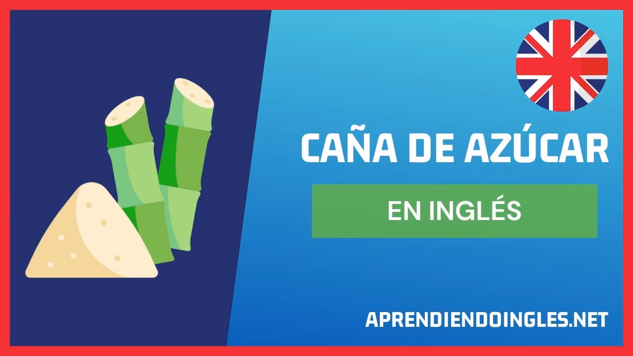 ¿Cómo se dice cana en inglés?