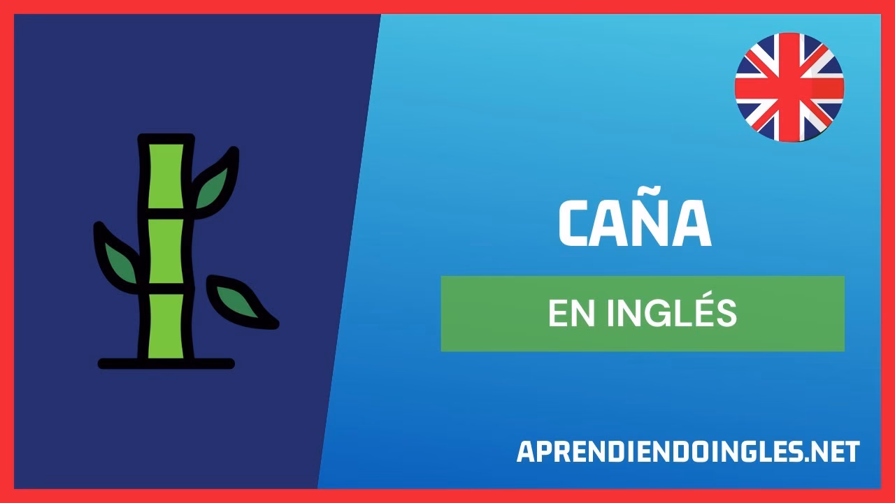 ¿Qué es canas en el cabello inglés?