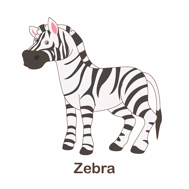 ¿Cuándo cambio de zebra a cebra?