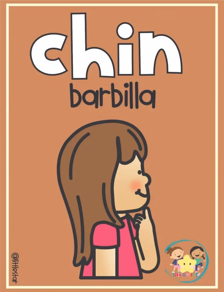 ¿Cómo se dice chinchin en inglés?