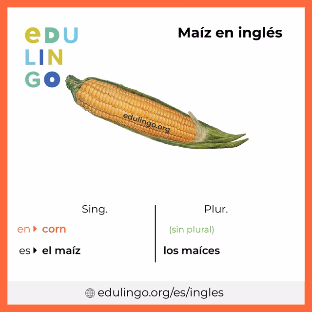 ¿Qué otro nombre tiene choclo?