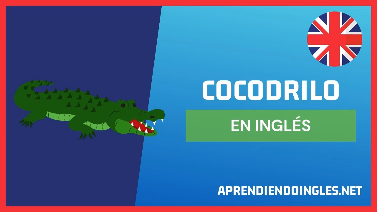 ¿Cómo llamamos a un cocodrilo en inglés?