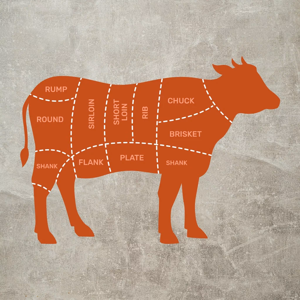 ¿Cómo se le dice cola en inglés?