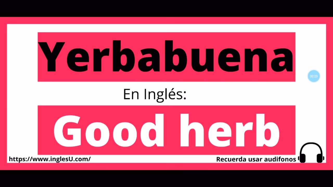 ¿Cómo se conoce la hierbabuena en Estados Unidos?