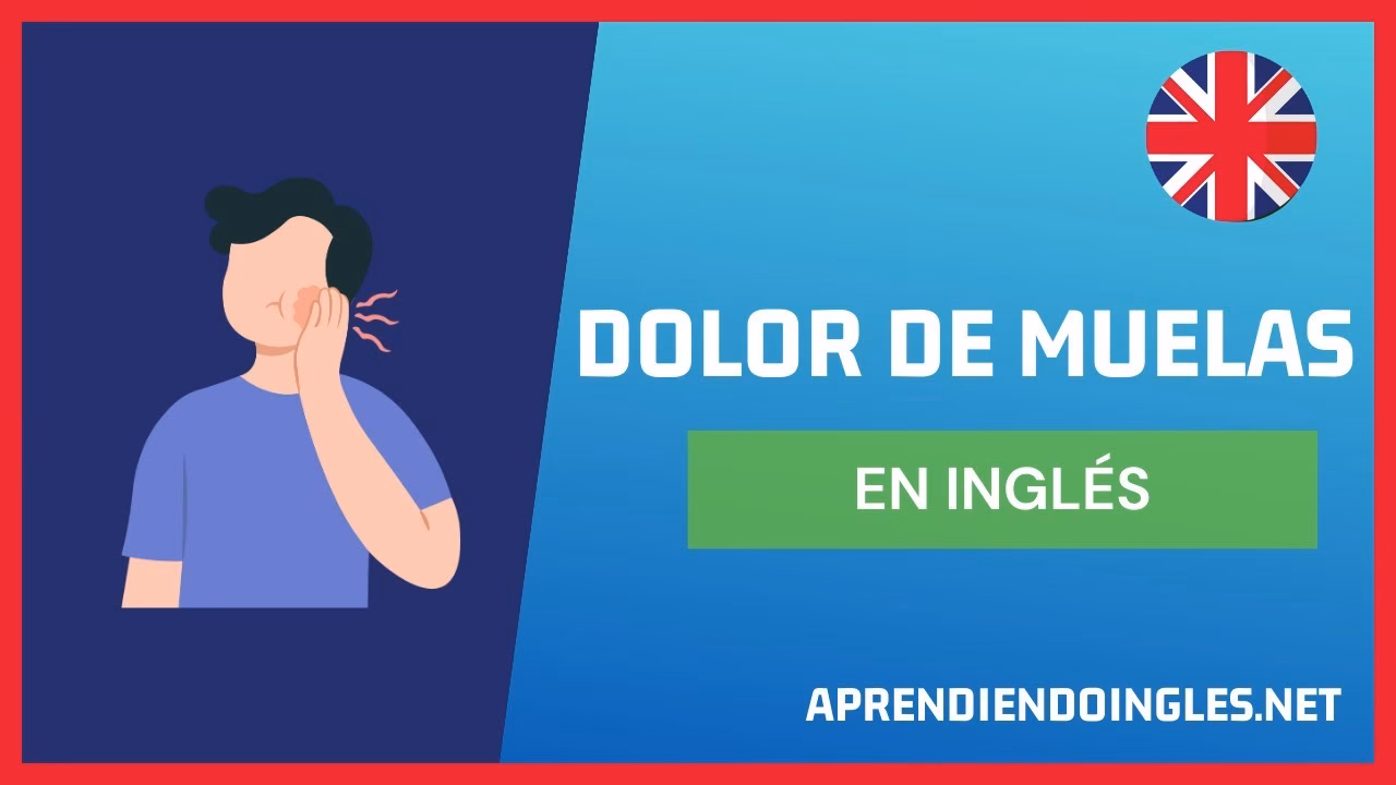 ¿Cómo se dice muela o diente?