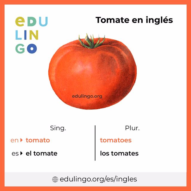 ¿Cómo se llama el puré de tomate en Estados Unidos?
