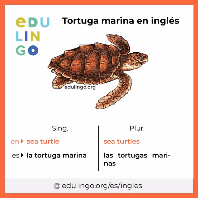 ¿Cómo se dice 🐢 en inglés?
