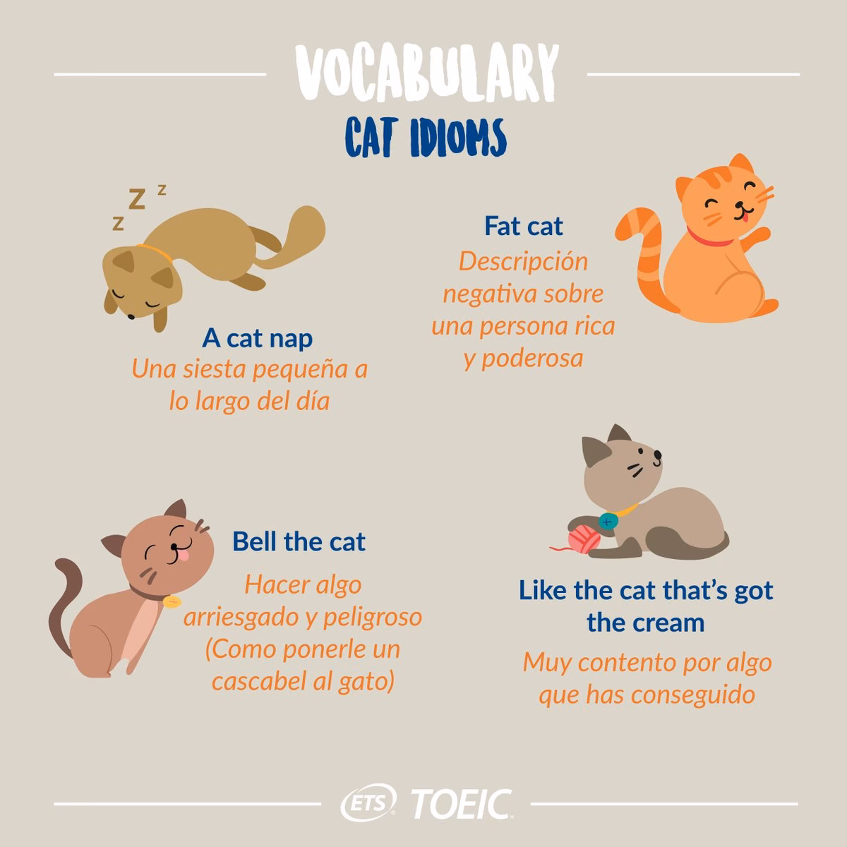 ¿Cómo se describe a un gato?