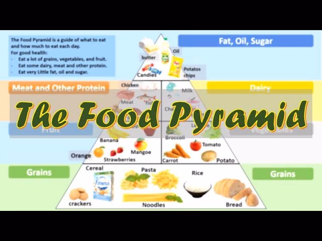 ¿Cómo se llaman las dietéticas en inglés?