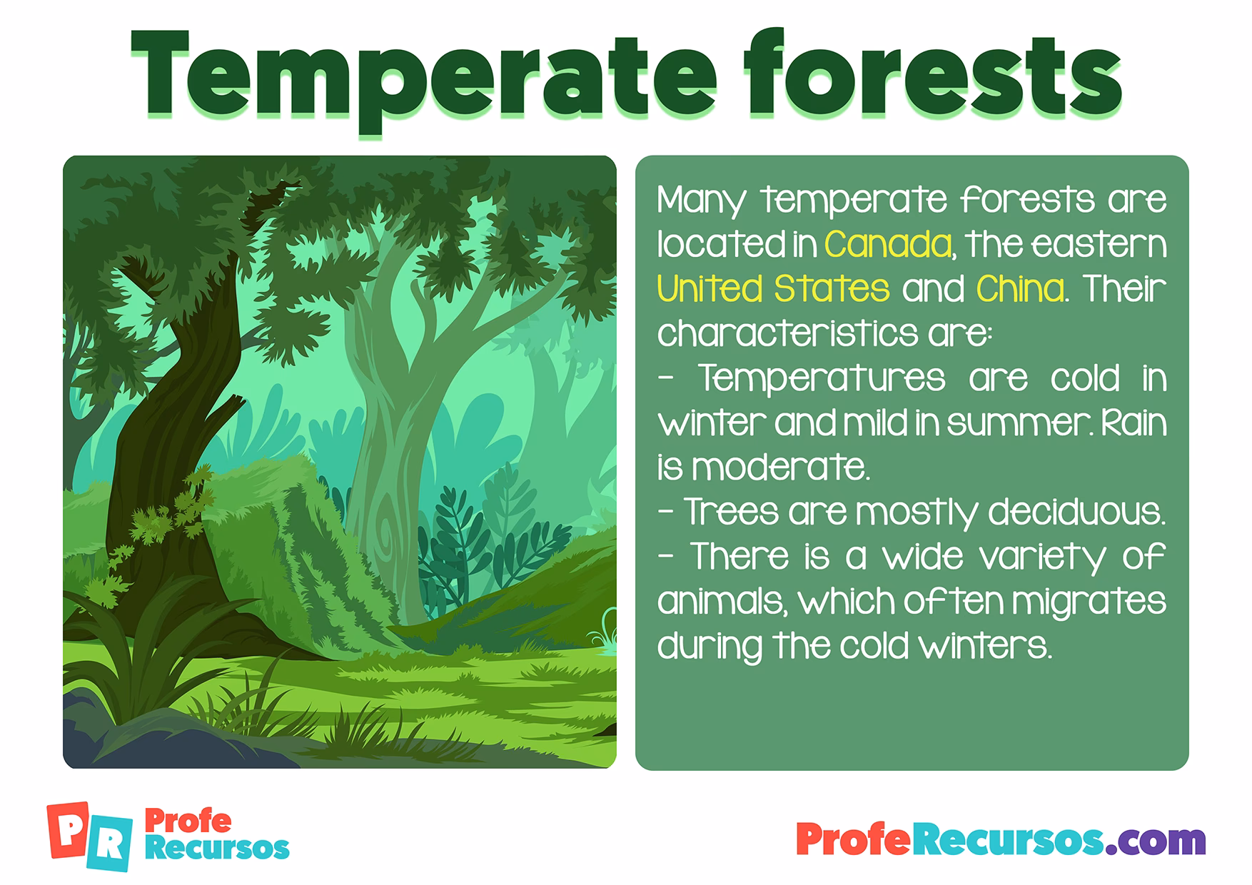 ¿Cómo se dice ecosistema terrestre?