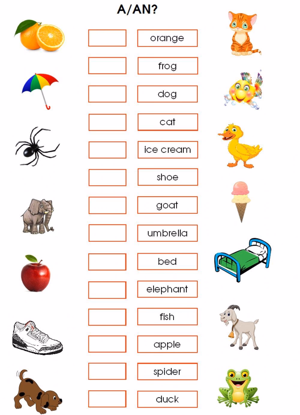 ¿Cómo utilizar los artículos en el ejercicio?