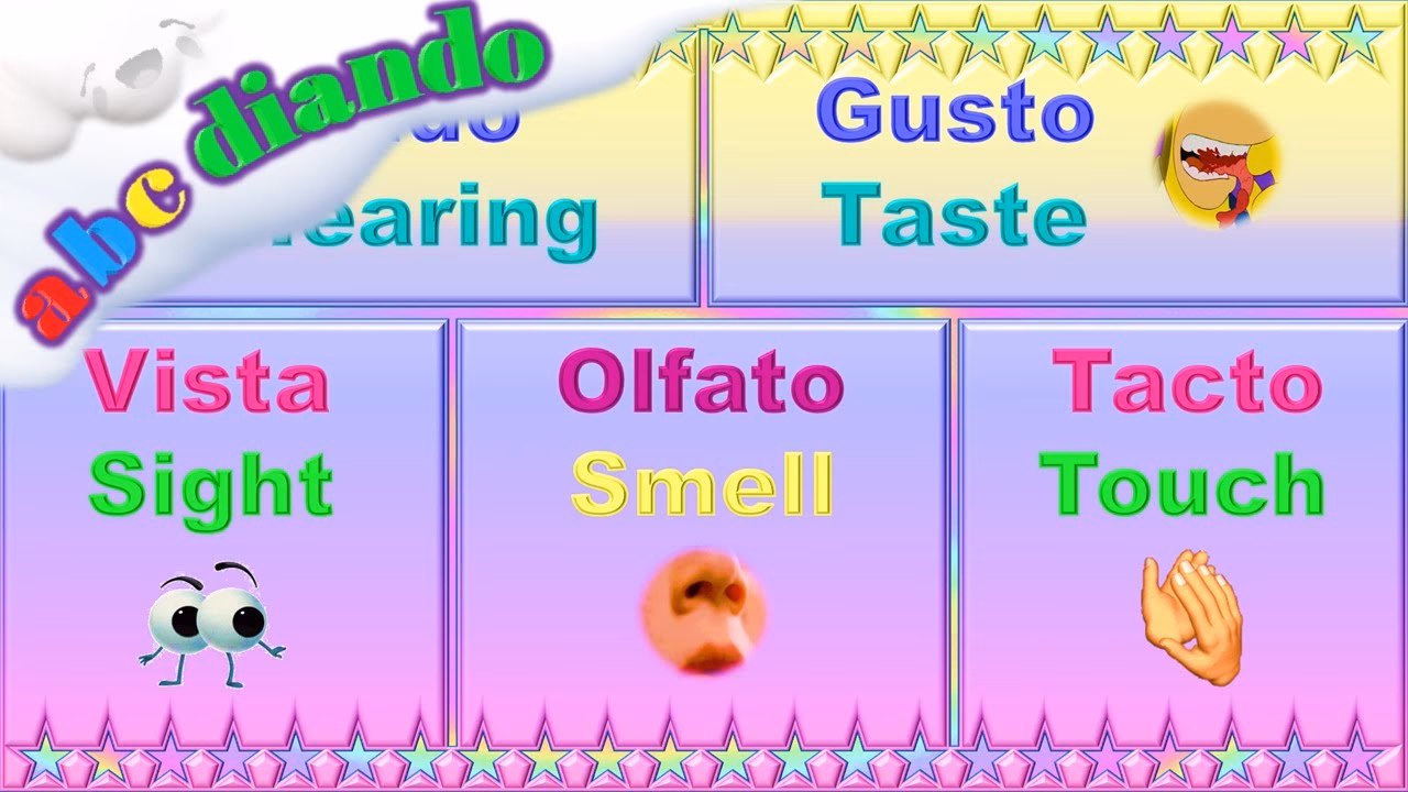 ¿Cuáles son los sentidos de la vista?