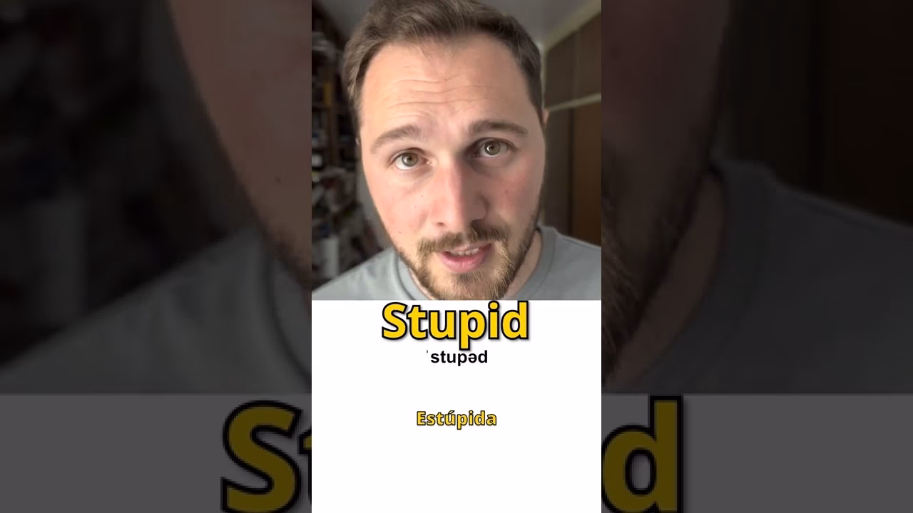 ¿Qué significa es estupida?