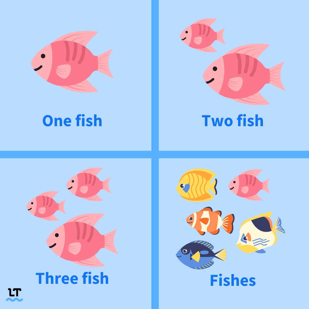 ¿Cuándo utilizar fish vs fishes?