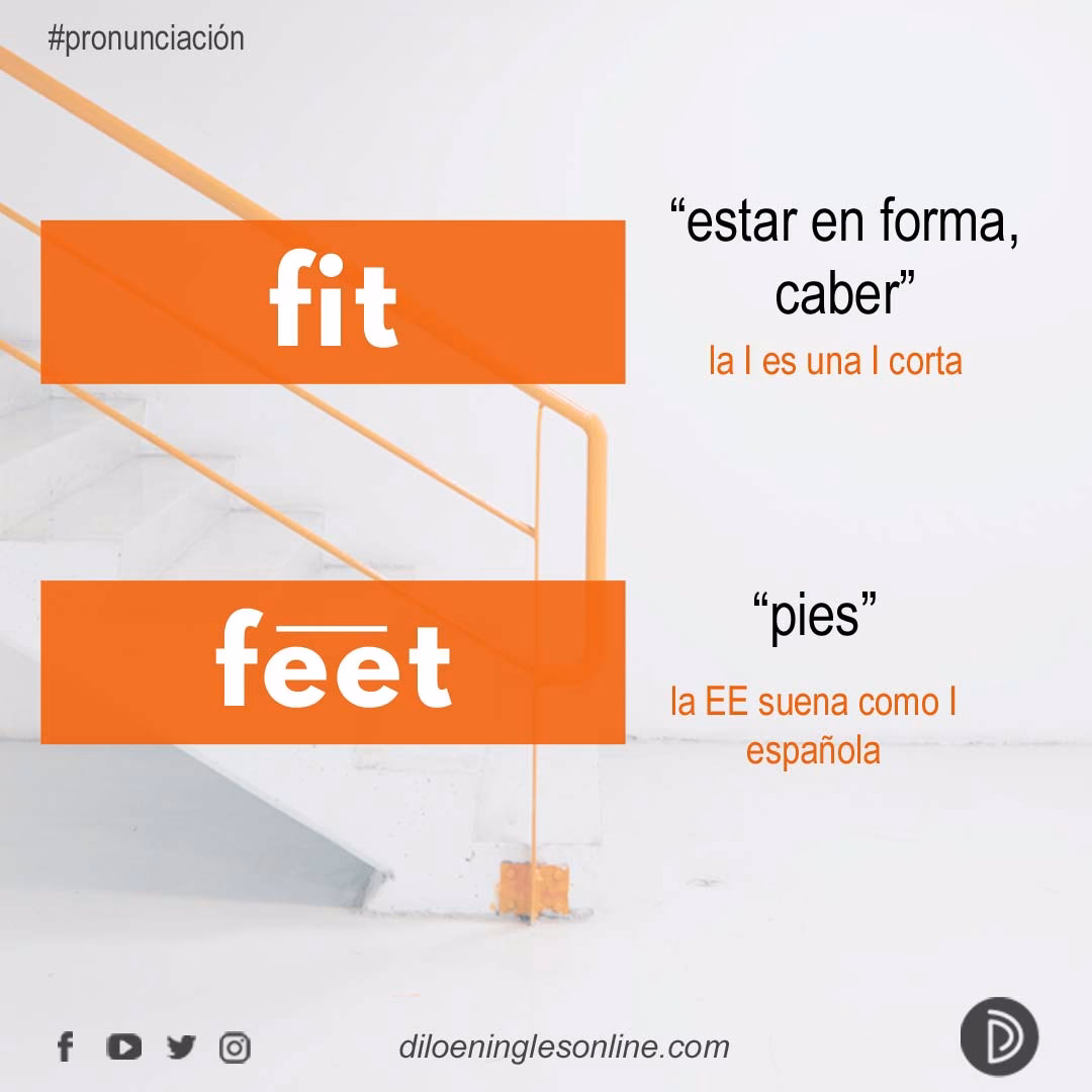 ¿Qué es en inglés fit?