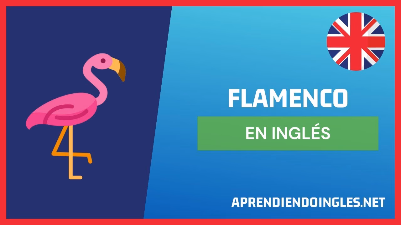 ¿Cuál es la diferencia entre flamenco y Flamingo?