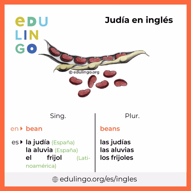 ¿Cómo se dice frijoles en inglés?