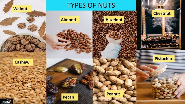 ¿Cómo se les dice a los frutos secos en inglés?