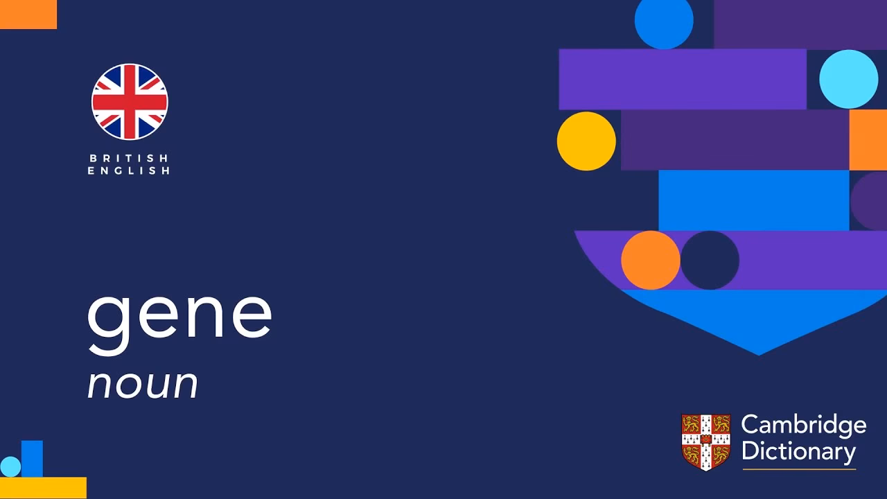 ¿Qué quiere decir gene?