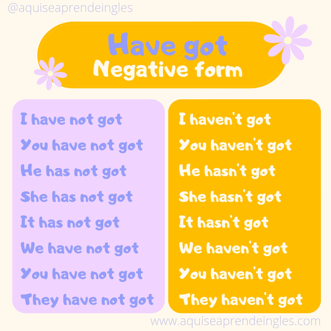 ¿Cuándo se usa has not y have not?