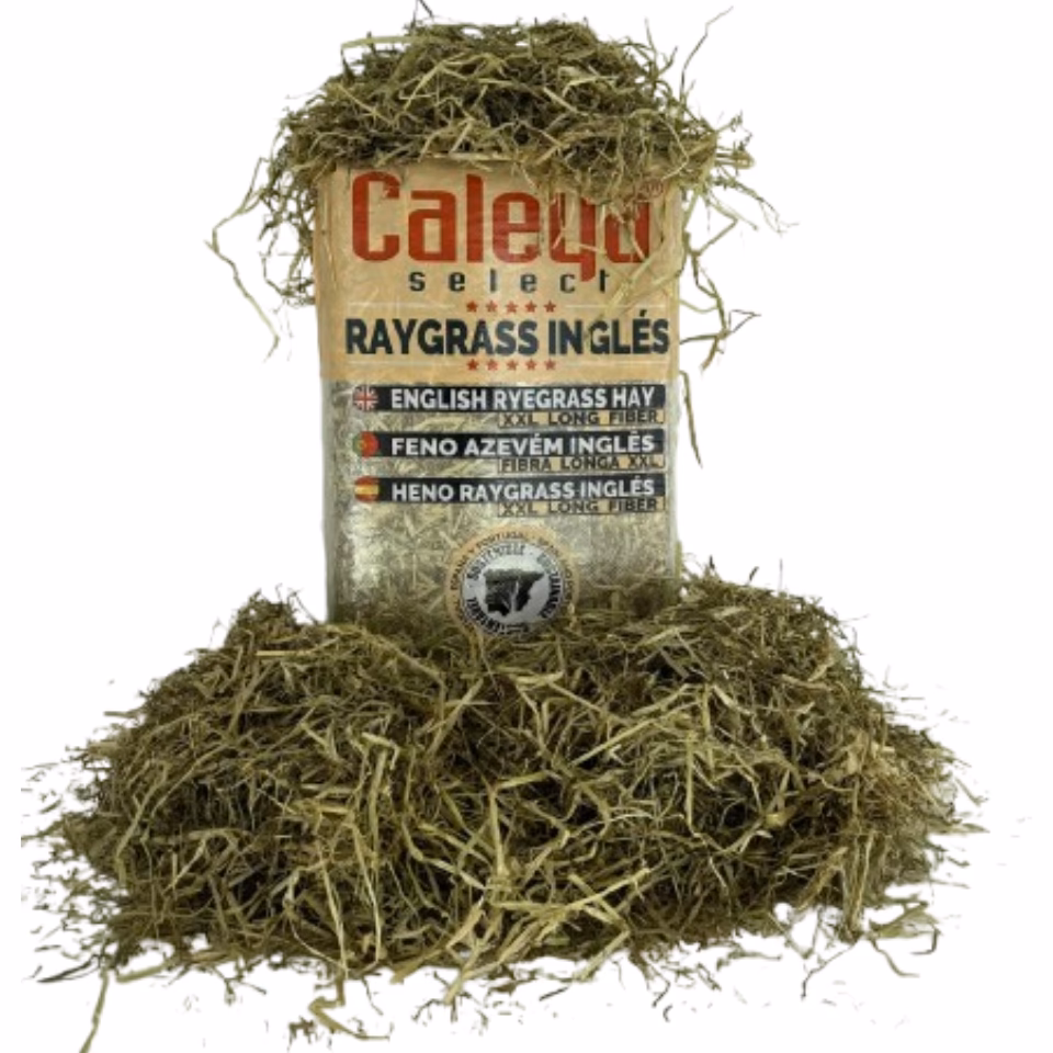 ¿Cómo se dice heno?