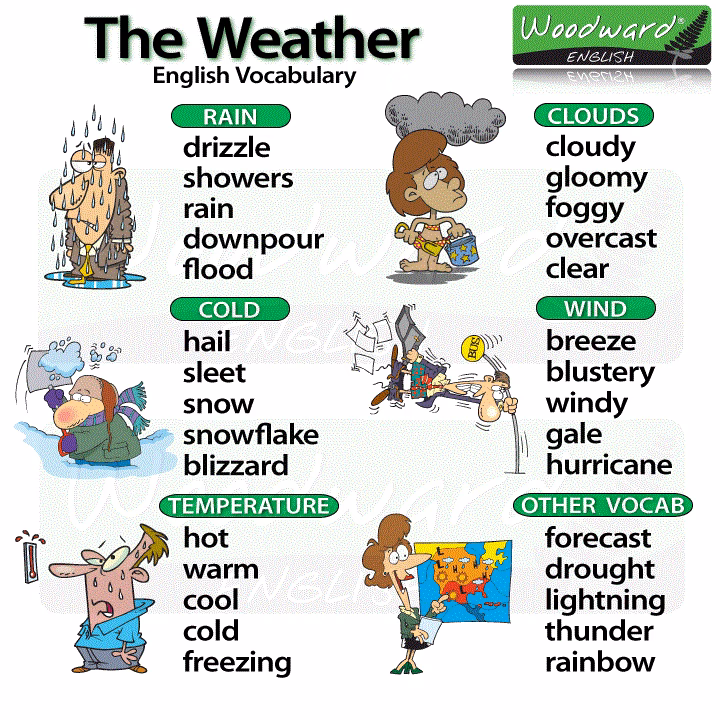 ¿Cómo se dice humedo?