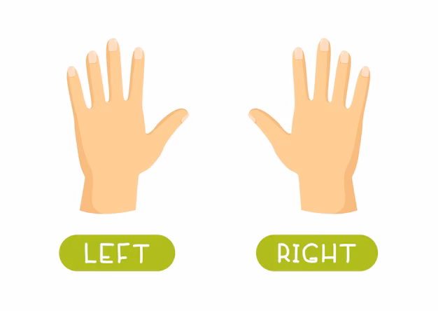 ¿Cuál es la derecha en inglés?