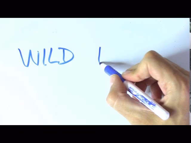 ¿Cómo se llama el jabalí en inglés?