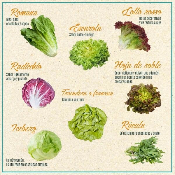 ¿Cómo se dice lechuga romana?