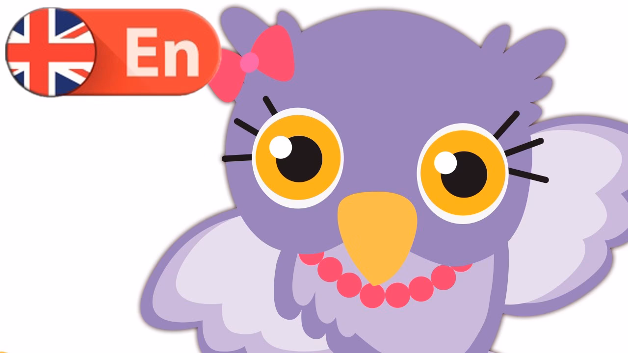 ¿Cómo se dice lechuza en inglés?