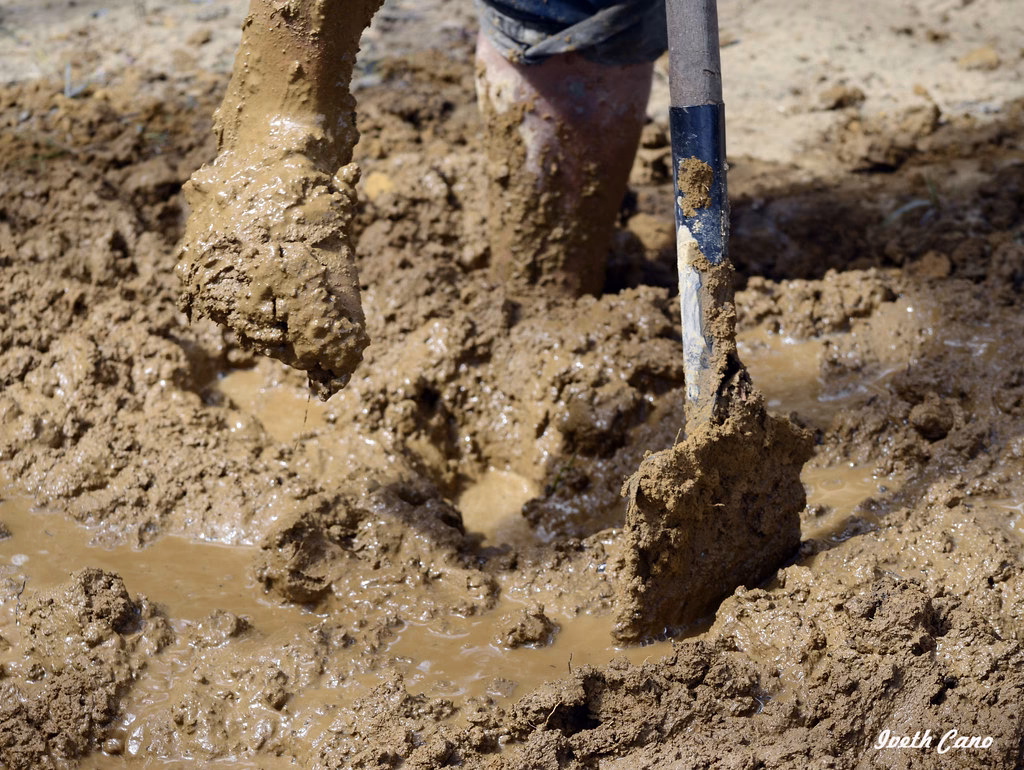 ¿Cómo se dice lodo?