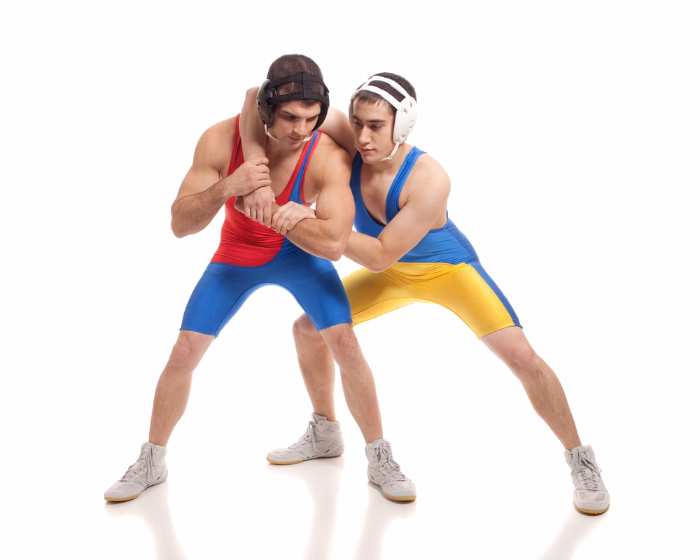 ¿Cómo se llama el deporte de lucha libre?